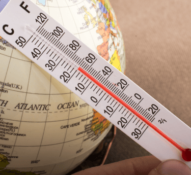 a person holding a thermometer in their hand