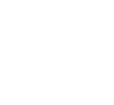 fence cleaning