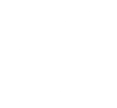 driveway cleaning