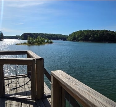 image of Reed Creek from on top of a dock looking at beautiful Lake Hartwell