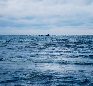 nt brokeris klaipedoje