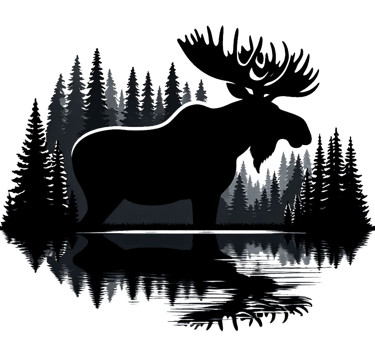 a moose moose moose moose moose moose moose moose moose moose moose moose moose moose moose