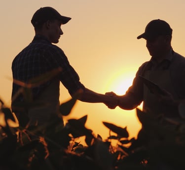 Cannabis growers and dispensary partners shaking hands
