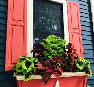 Blue cottage with bright orange shutters and a window box overflowing with colorful flowers