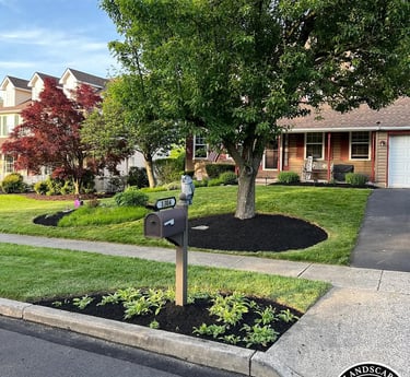 excellent landscaping and hardscaping of grass, stones and trees by NP Landscaping