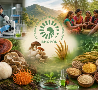 Indian women farmers and scientists collaborating on medicinal mushroom and organic grain research.