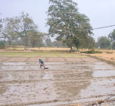 a man working on the field