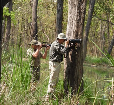 photographers on the prowl in Bardiya National Park