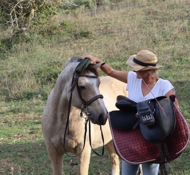 Pferd und Reiterin beim Training in der Sonne Mallorcas