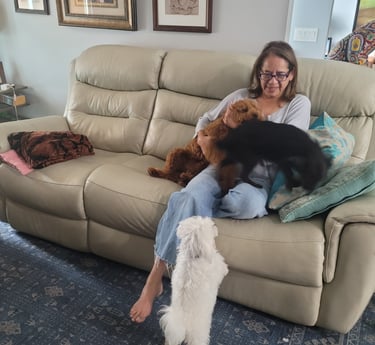 Roberts wife spending time with 3 dogs during daycare