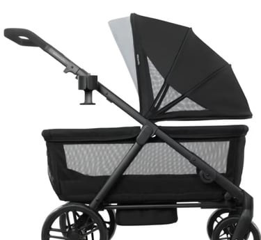seaside stroller rentals