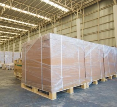 exporter of sports gooods