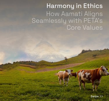 no animal no pu no pvc leather 