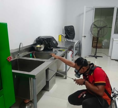 Jansen pest control technician in a respirator spraying a commercial kitchen sink area for insects.