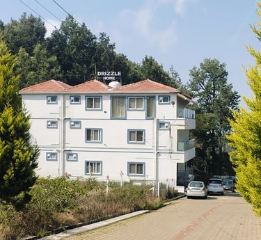 Bird's eye view of Drizzle Home