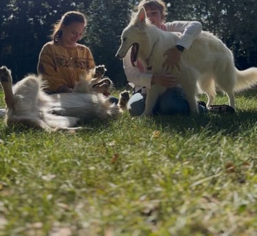 deux amies avec leurs chiens heureuse