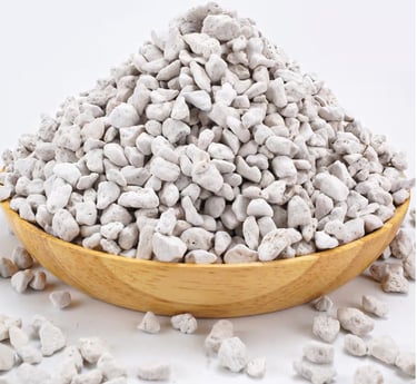 Pumice stone added to soil for drainage and aeration to prevent root rot in indoor plant soil mixes