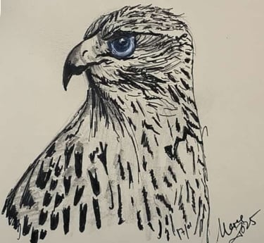 Halcón en grafito y tinta. Artesancho.com