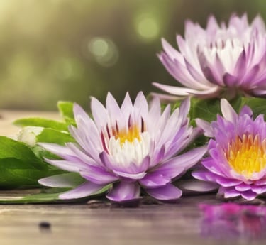 a group of purple flowers on a wooden table