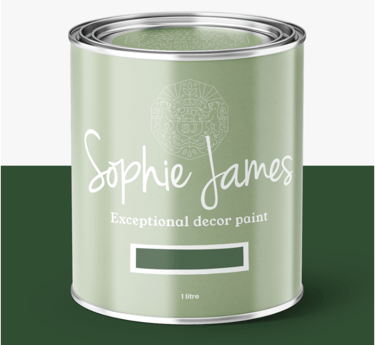 Sophie James Decor Paint in the colour Box of Frogs