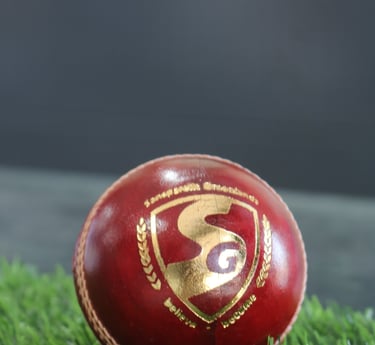 SG cricket ball