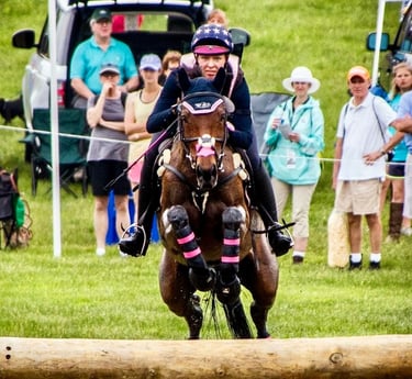 Eventing cross country horse jumping into the water