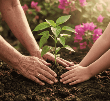 Manos mayores y jóvenes plantando juntas un brote verde en tierra oscura y fértil.