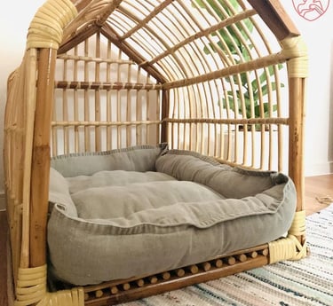 Cozy pet-friendly outdoor corner with calm evening lighting and soft textures, inspired by warm European outdoor living