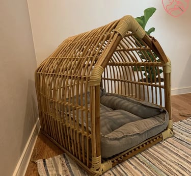 Cozy pet-friendly outdoor corner with calm evening lighting and soft textures, inspired by warm European outdoor living