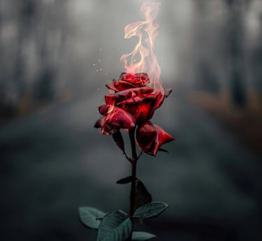 Elément décoratif - Une rose rouge enflammée - Carine Henry, auteure.