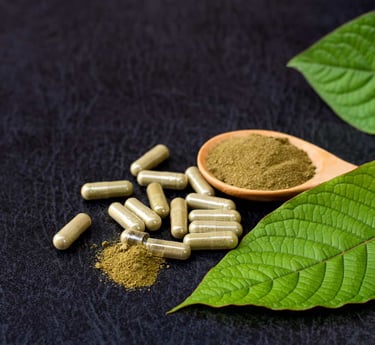 Natural kratom capsules and herbal powder on a spoon with fresh green Mitragyna speciosa leaves.