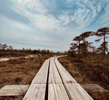 A picture of a pathway: a symbolism of one's journey in therapy.