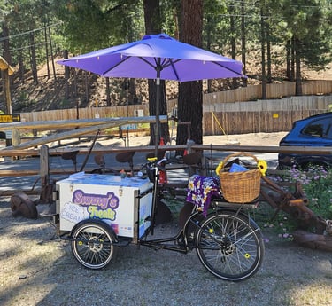 The E Tricycle ready for ice cream customers by the Tunnel Creek Cafe