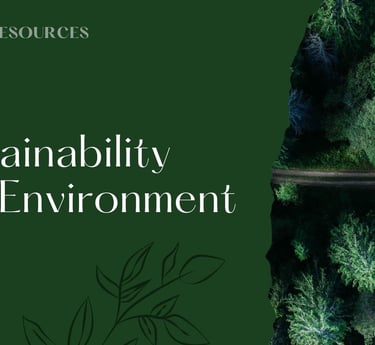 a road with trees and a river in the background