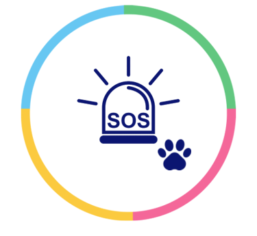 Emergencia Veterinária