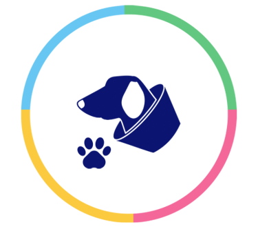 castração cachorro e gato