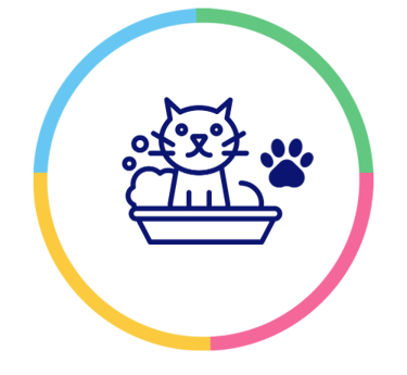 banho em gatos maringa