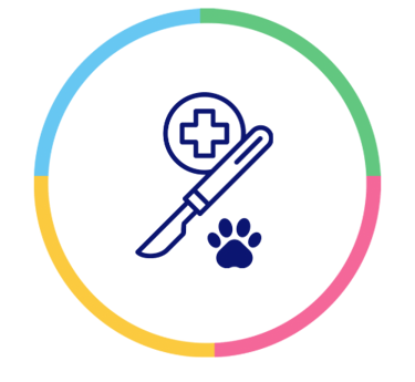 Cirurgia veterinária