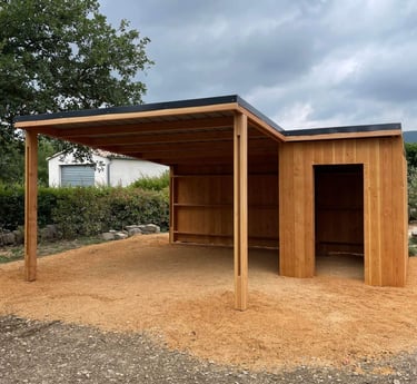 Carport en bois 1 place + abri en bois à POMPIGNAN