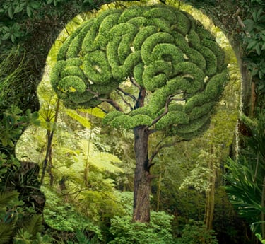 Tree shaped like a brain