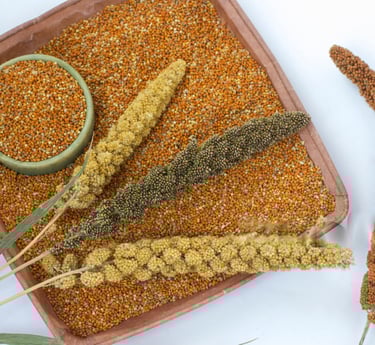 a tray of dried wheat and a bowl of cereal from village millets
