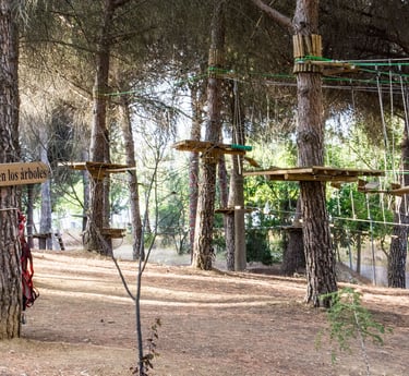 Circuito de árboles