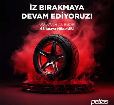 petlas ana bayi