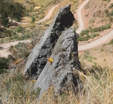 El Gallo - Huancaspata
