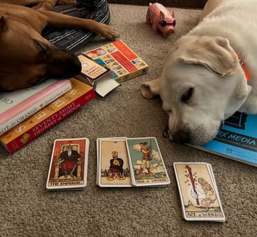 tarot and dogs
