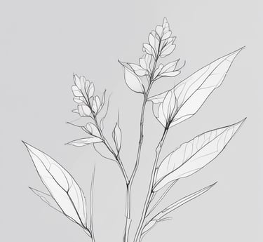 A small black-and-white line illustration of a calm herb sprig.