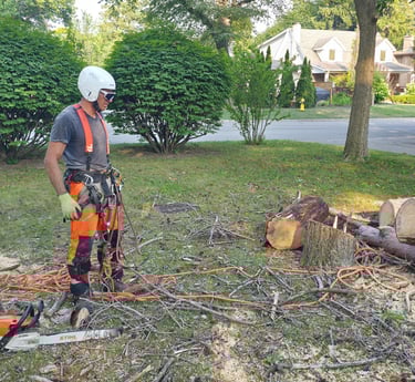 Professional arborist in safety gear standing near a chainsaw and cut logs on a residential lawn.