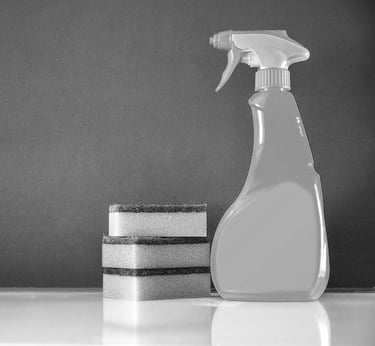 Flacon spray éponges ménage