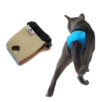 chat pipi partout 