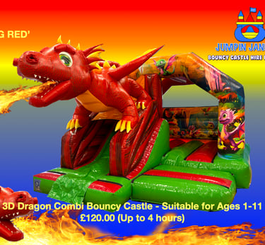 3D Dragon Bouncy Castle with Slide - Jumpin Janners - Bouncy Castle Hire Plymouth
